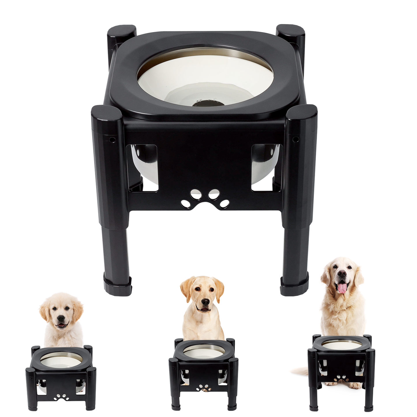 Slow Feeder Dog Bowls Elevated Dog Food Bowls