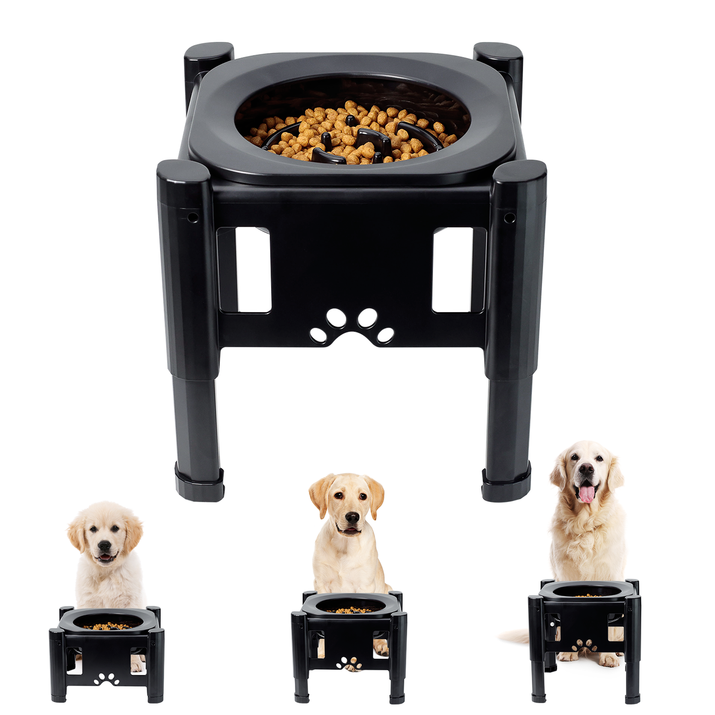 Slow Feeder Dog Bowls Elevated Dog Food Bowls