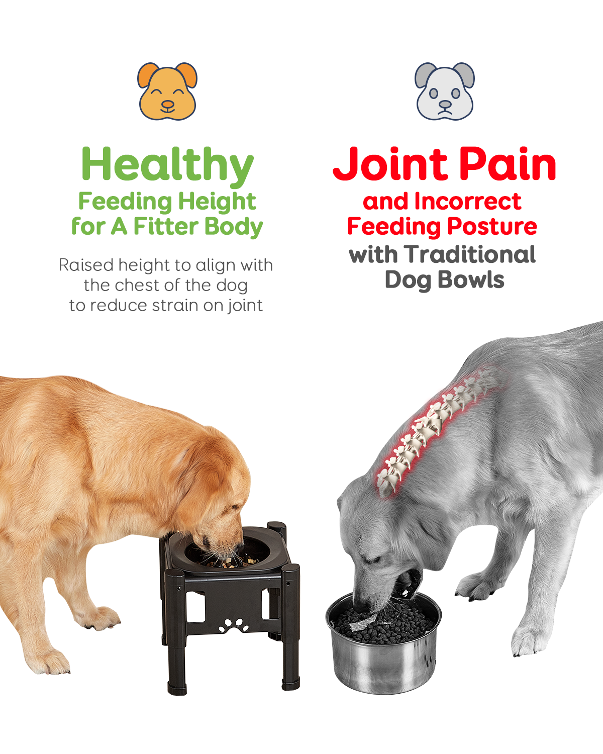 Slow Feeder Dog Bowls Elevated Dog Food Bowls