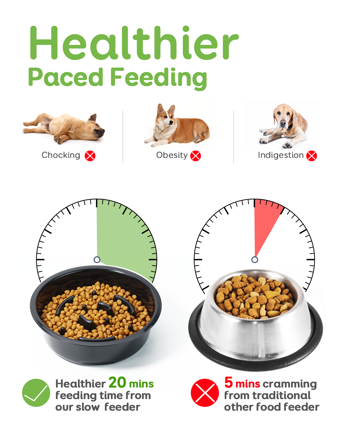 Slow Feeder Dog Bowls Elevated Dog Food Bowls